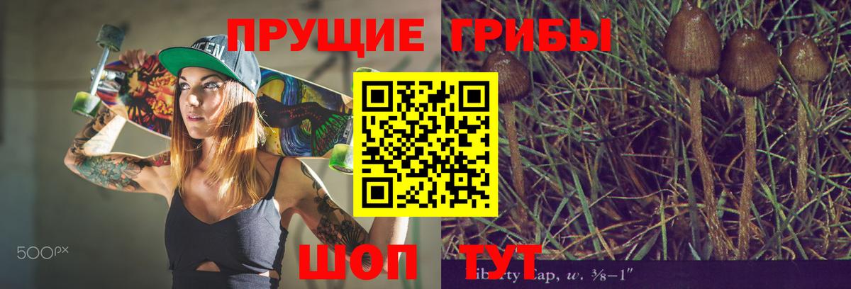Псилоцибиновые грибы Psilocybine cubensis Малоярославец