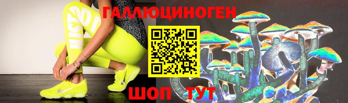 Малоярославец  Галлюциногенные грибы GOLDEN TEACHER  Галлюциногенные грибы GOLDEN TEACHER  Вход с VPN 